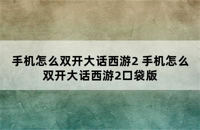 手机怎么双开大话西游2 手机怎么双开大话西游2口袋版